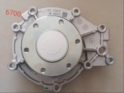 Model 202V06500-6700 Cooling Water Pump Assembly